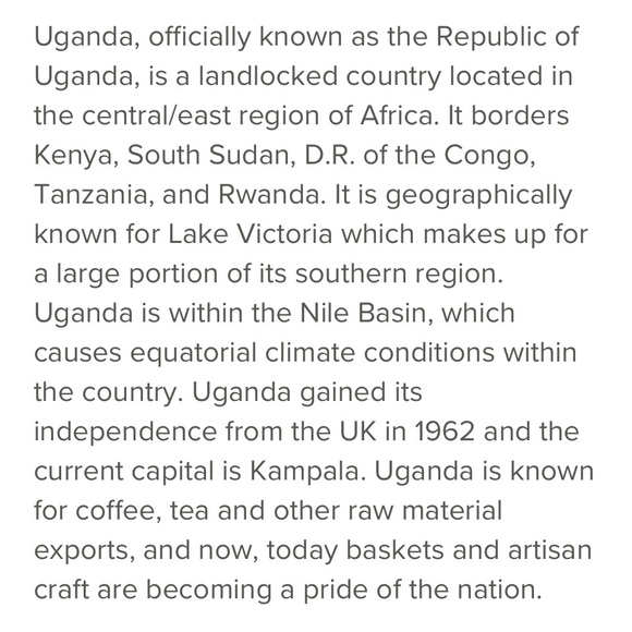 🆕 Uganda Oceana Raffia Coasters - set of 4 - Picture 6 of 7